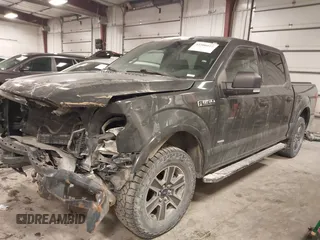 2017 Ford F-150 XL with VIN 1FTEW1EP3HKD25225, listed as a IAAI auction lot 41506022 with 106,071 mi miles. Bid and sale history available at carsss.com. Image 17.