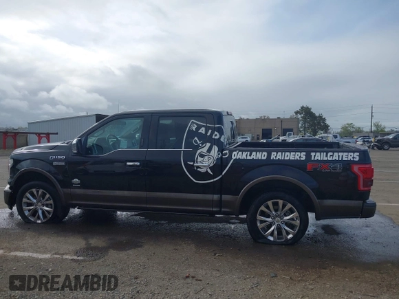 2016 Ford F-150 XLT with VIN 1FTEW1EG6GFB84352, listed as a IAAI auction lot 41910155 with 128,756 mi miles. Bid and sale history available at carsss.com. Image 14.