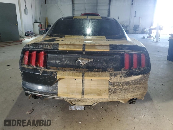 2017 Ford Mustang EcoBoost with VIN 1FA6P8TH9H5236561, listed as a Copart auction lot 46331885 with 40,640 mi miles and Salvage Title. Bid and sale history available at carsss.com. Image 6.