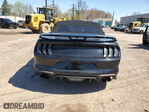 2019 Ford Mustang GT Premium with VIN 1FATP8FF7K5179636, listed as a Copart auction lot 51994055 with 123,771 mi miles and Salvage title. Bid and sale history available at DreamBid. Image 6.