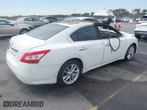 2009 Nissan Maxima SV with VIN 1N4AA51E29C824866, listed as a IAAI auction lot 41826379 with Not Provided miles and . Bid and sale history available at DreamBid. Image 4.