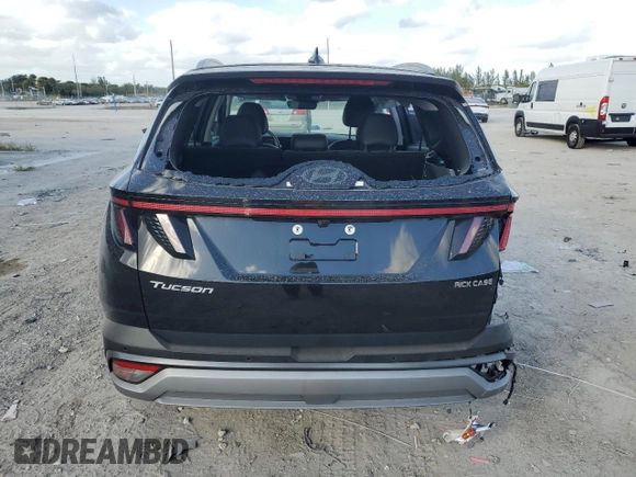2025 Hyundai Tucson Limited with VIN 5NMJE3DE3SH448183, listed as a Copart auction lot 80440024 with 4,191 mi miles and Non Repairable. Bid and sale history available at carsss.com. Image 6.