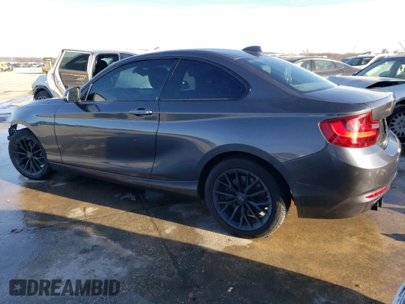 2016 BMW 2 Series 228i with VIN WBA1F9C55GV546771, listed as a Copart auction lot 38291464 with 116,803 mi miles. Bid and sale history available at carsss.com. Image 2.
