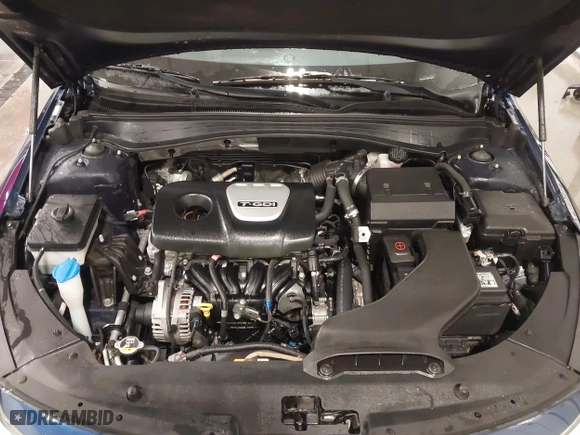 2019 Kia Optima EX with VIN 5XXGU4L19KG285328, listed as a IAAI auction lot 41653327 with 114,251 mi miles. Bid and sale history available at carsss.com. Image 10.