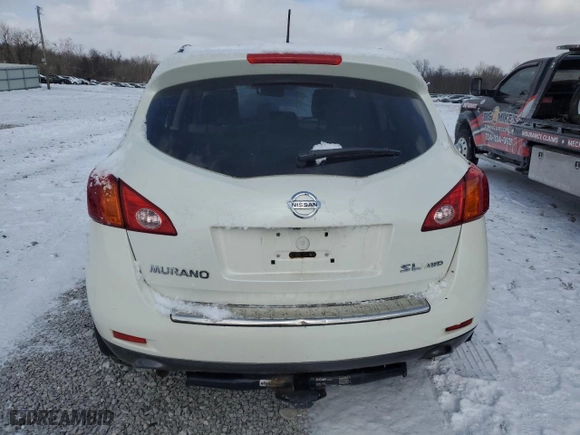 2010 Nissan Murano LE with VIN JN8AZ1MW8AW134658, listed as a Copart auction lot 45896465 with 137,943 mi miles and Salvage Title. Bid and sale history available at carsss.com. Image 6.