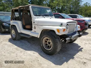 2001 Jeep Wrangler Sahara z VIN 1J4FA59S81P321490, wystawiony jako Copart lot #57320005 z przebiegiem 180 959 mil mil oraz Szkoda całkowita • Salvage title. Historia ofert i sprzedaży dostępna na DreamBid. Obrazek 4.