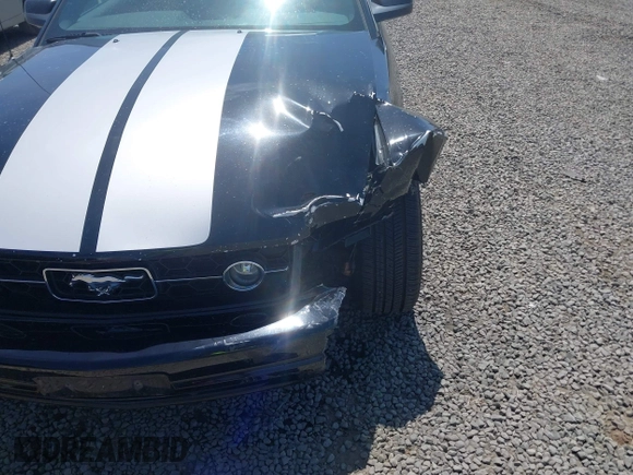2006 Ford Mustang Standard with VIN 1ZVFT80N065182187, listed as a IAAI auction lot 42453637 with Not provided miles and . Bid and sale history available at DreamBid. Image 19.