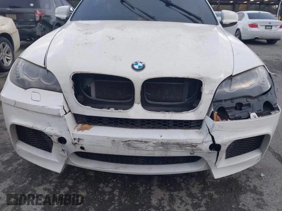 2010 BMW X6 M with VIN 5YMGZ0C52ALK13325, listed as a IAAI auction lot 40819581 with 134,282 mi miles. Bid and sale history available at carsss.com. Image 6.