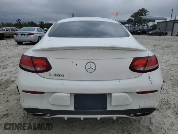 2017 Mercedes-Benz C 300 with VIN WDDWJ4JB3HF386989, listed as a Copart auction lot 51231535 with Not Provided miles and Salvage Title. Bid and sale history available at carsss.com. Image 6.