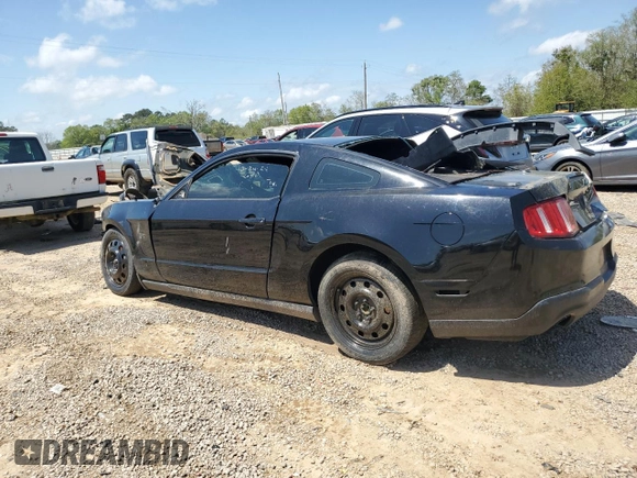 2010 Ford Mustang GT с VIN 1ZVBP8CH3A5179849, выставлен на аукционе Copart как лот 51677155 с пробегом Не указан миль и Списание • Salvage title. История ставок и продаж доступна на DreamBid. Изображение 2.