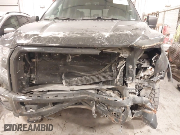 2017 Ford F-150 XL with VIN 1FTEW1EP3HKD25225, listed as a IAAI auction lot 41506022 with 106,071 mi miles. Bid and sale history available at carsss.com. Image 6.