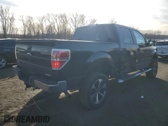 2012 Ford F-150 XL with VIN 1FTEW1CM2CFB29092, listed as a Copart auction lot 43718415 with 165,364 mi miles and Salvage Title. Bid and sale history available at carsss.com. Image 3.
