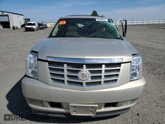 2011 Cadillac Escalade Premium with VIN 1GYS4CEF5BR138427, listed as a Copart auction lot 53430845 with Not provided miles and Salvage title. Bid and sale history available at DreamBid. Image 5.