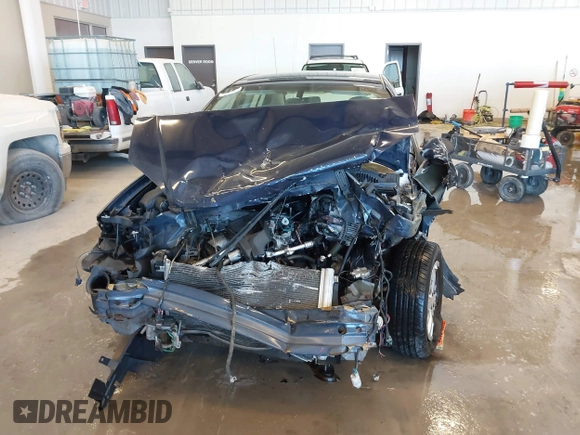 2010 Chevrolet Cobalt LS with VIN 1G1AB5F59A7110769, listed as a IAAI auction lot 41605132 with 198,979 mi miles and . Bid and sale history available at DreamBid. Image 12.