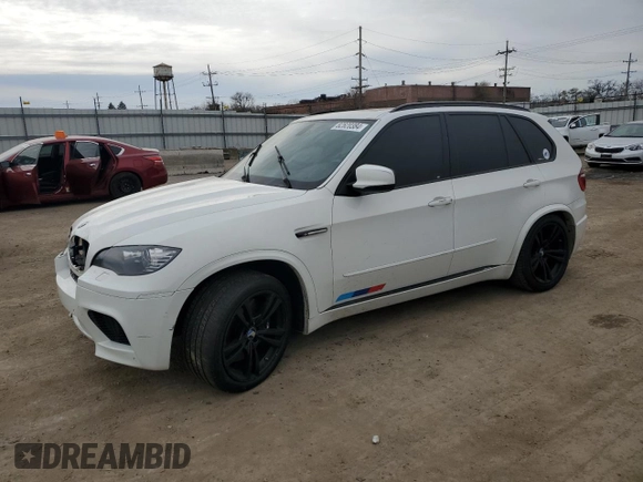 2010 BMW X5 M with VIN 5YMGY0C55ALK25665, listed as a Copart auction lot 82820384 with 118,956 mi miles and Salvage Title. Bid and sale history available at carsss.com. Image 1.