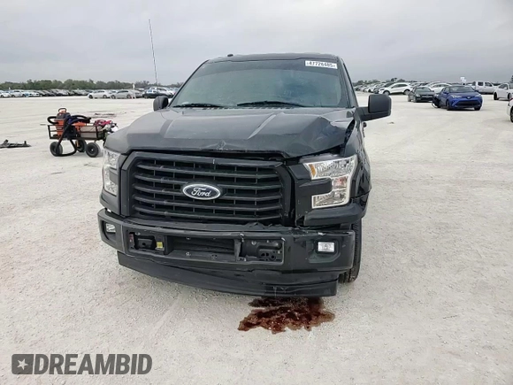 2017 Ford F-150 XL with VIN 1FTEX1CP4HKD67029, listed as a Copart auction lot 47726485 with 171,921 mi miles and Salvage Title. Bid and sale history available at carsss.com. Image 11.