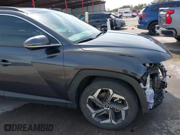 2024 Hyundai Tucson Limited с VIN 5NMJE3DE5RH325575, выставлен на аукционе IAAI как лот 41831040 с пробегом 20 587 миль миль и . История ставок и продаж доступна на DreamBid. Изображение 19.