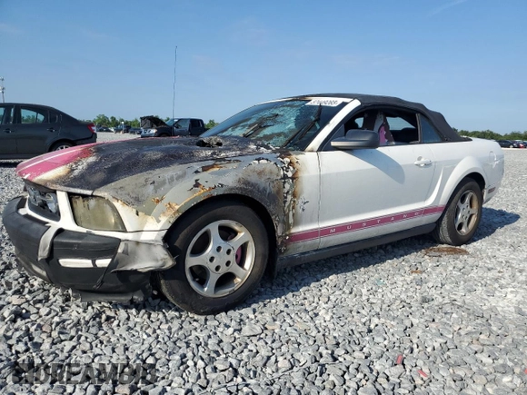 2008 Ford Mustang Deluxe with VIN 1ZVHT84N085133559, listed as a Copart auction lot 57449265 with Not provided miles and Salvage title. Bid and sale history available at DreamBid. Image 1.