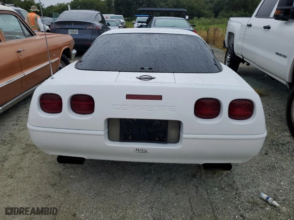 1995 Chevrolet Corvette with VIN 1G1YY22PXS5115866, listed as a Copart auction lot 74983214 with 0 mi miles and Salvage Title. Bid and sale history available at carsss.com. Image 6.