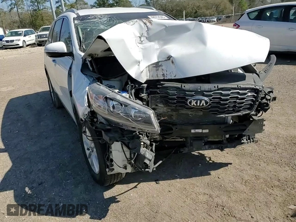 2020 Kia Sorento L with VIN 5XYPG4A32LG683828, listed as a Copart auction lot 48512045 with 86,422 mi miles and Salvage Title. Bid and sale history available at DreamBid. Image 12.