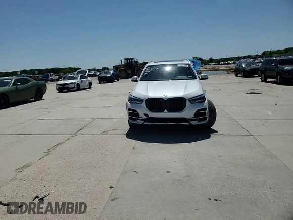 2022 BMW X5 sDrive40i with VIN 5UXCR4C01N9J66048, listed as a Copart auction lot 52227615 with Not Provided miles and Salvage Title. Bid and sale history available at DreamBid. Image 12.