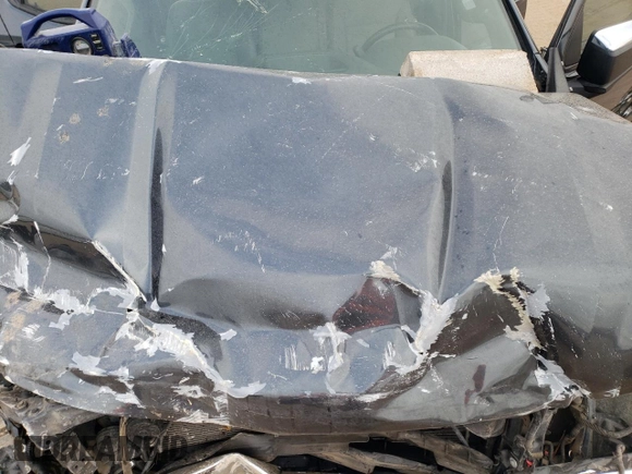 2019 Chevrolet Silverado 1500 LT with VIN 1GCRWCED1KZ395193, listed as a Copart auction lot 86567824 with 73,662 mi miles and Salvage Title. Bid and sale history available at DreamBid. Image 13.