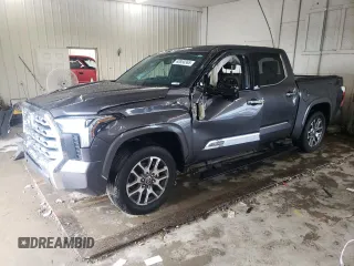 2022 Toyota Tundra 1794 Edition with VIN 5TFMA5DB5NX024249, listed as a Copart auction lot 60850365 with 28,974 mi miles and Salvage title. Bid and sale history available at DreamBid. Image 1.