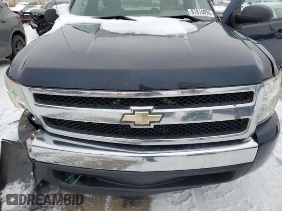 2008 Chevrolet Silverado 1500 Work Truck with VIN 1GCEC14X48Z297565, listed as a Copart auction lot 49673225 with 252,870 mi miles and Clean Title. Bid and sale history available at carsss.com. Image 11.