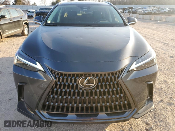 2024 Lexus NX with VIN 2T2GGCEZ3RC052661, listed as a Copart auction lot 86566104 with 10,825 mi miles and Salvage Title. Bid and sale history available at carsss.com. Image 5.