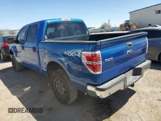 2009 Ford F-150 XL z VIN 1FTPW14V09FA81391, wystawiony jako Copart lot #53976815 z przebiegiem 229 080 mil mil oraz Szkody całkowita. Historia ofert i sprzedaży dostępna na DreamBid. Obrazek 2.