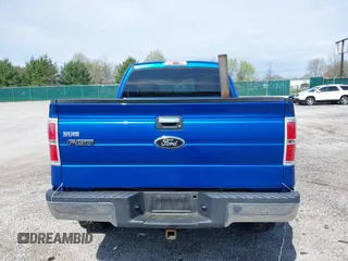 2010 Ford F-150 XL with VIN 1FTFX1EV5AFD48164, listed as a IAAI auction lot 41973597 with 113,671 mi miles and . Bid and sale history available at DreamBid. Image 17.
