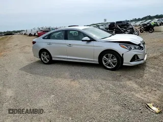 2018 Hyundai Sonata SEL with VIN 5NPE34AF0JH669087, listed as a Copart auction lot 50164165 with 17,469 mi miles and Salvage Title. Bid and sale history available at DreamBid. Image 10.