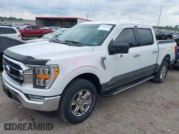 2021 Ford F-150 XL z VIN 1FTFW1ED7MFB36946, wystawiony jako IAAI lot #42318029 z przebiegiem 16 960 mil mil oraz . Historia ofert i sprzedaży dostępna na DreamBid. Obrazek 2.