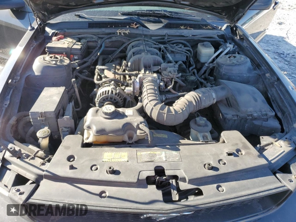 2008 Ford Mustang Deluxe with VIN 1ZVHT80N185183294, listed as a Copart auction lot 49825745 with 173,283 mi miles and Salvage Title. Bid and sale history available at carsss.com. Image 11.