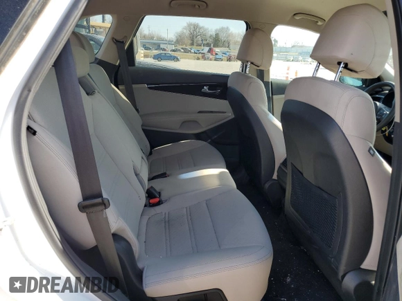 2017 Kia Sorento LX with VIN 5XYPGDA38HG287541, listed as a Copart auction lot 48928145 with Not Provided miles and Clean Title. Bid and sale history available at DreamBid. Image 11.