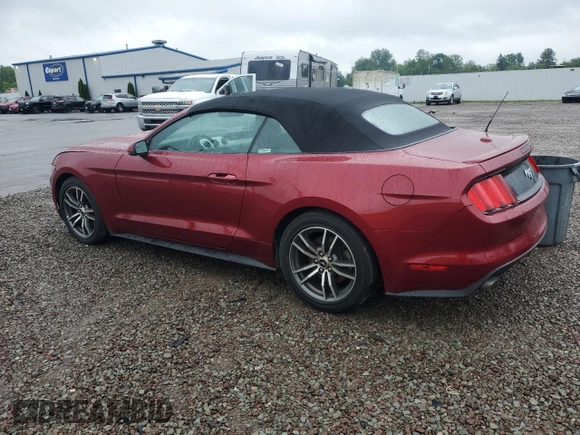 2016 Ford Mustang EcoBoost Premium with VIN 1FATP8UH4G5304510, listed as a Copart auction lot 59869815 with 33,438 mi miles and Salvage title. Bid and sale history available at DreamBid. Image 2.