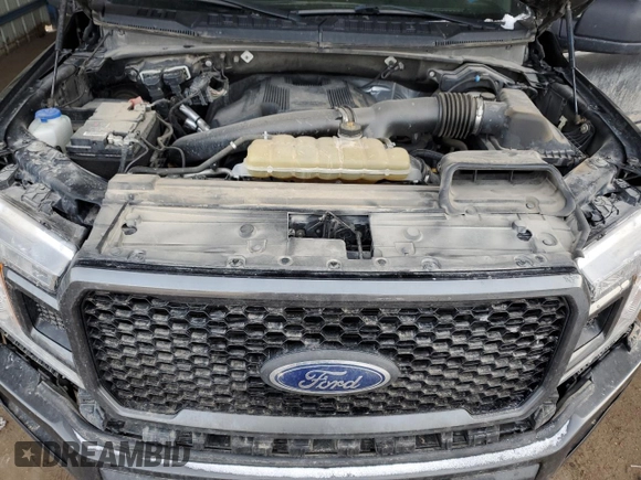 2019 Ford F-150 XL with VIN 1FTEW1E49KKF02664, listed as a Copart auction lot 46167605 with 101,759 mi miles and Salvage title. Bid and sale history available at DreamBid. Image 12.