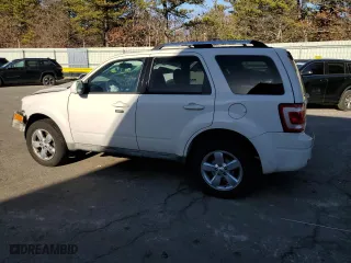 2009 Ford Escape Limited with VIN 1FMCU94G49KB70663, listed as a Copart auction lot 49598465 with 163,610 mi miles and Salvage Title. Bid and sale history available at carsss.com. Image 2.