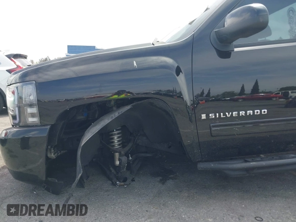 2009 Chevrolet Silverado 1500 with VIN 1GCEC24C29Z205003, listed as a IAAI auction lot 42031245 with 123,278 mi miles and . Bid and sale history available at DreamBid. Image 6.