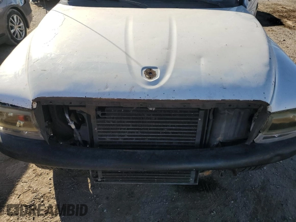 1999 Dodge Dakota SLT with VIN 1B7GL22XXXS142379, listed as a Copart auction lot 88269495 with 0 mi miles and Salvage Title. Bid and sale history available at carsss.com. Image 11.