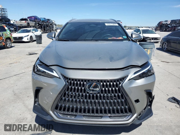 2024 Lexus NX 250 with VIN 2T2ADCAZ5RC010237, listed as a Copart auction lot 49515495 with 28,581 mi miles and Salvage title. Bid and sale history available at DreamBid. Image 5.
