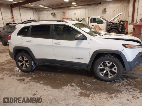 2014 Jeep Cherokee Trailhawk with VIN 1C4PJMBS5EW159912, listed as a IAAI auction lot 41538254 with 166,955 mi miles. Bid and sale history available at carsss.com. Image 13.