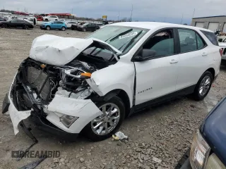 2019 Chevrolet Equinox LS with VIN 3GNAXHEV3KL200242, listed as a Copart auction lot 86065034 with 127,099 mi miles and Salvage Title. Bid and sale history available at carsss.com. Image 1.