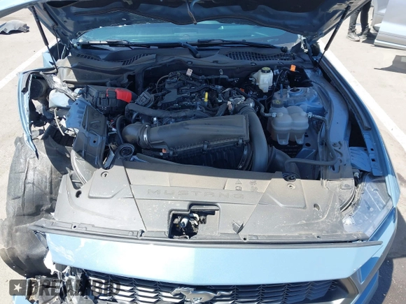2024 Ford Mustang EcoBoost with VIN 1FA6P8THXR5140195, listed as a IAAI auction lot 42268566 with 11,032 mi miles and . Bid and sale history available at DreamBid. Image 10.