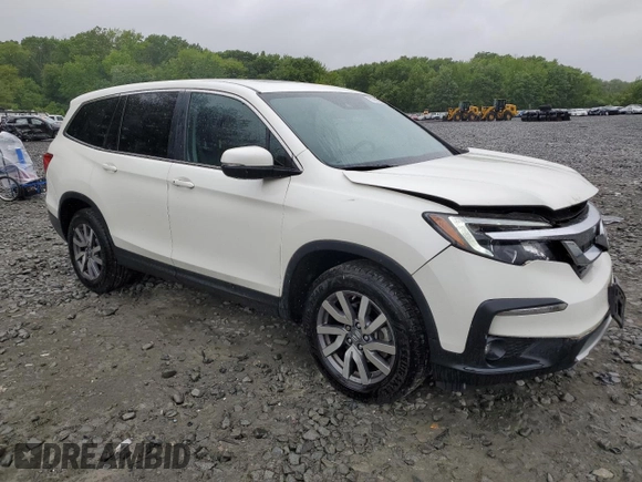 2019 Honda Pilot EX-L with VIN 5FNYF6H5XKB050512, listed as a Copart auction lot 57701295 with 49,031 mi miles and Salvage title. Bid and sale history available at DreamBid. Image 4.