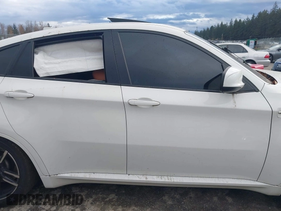 2010 BMW X6 M with VIN 5YMGZ0C52ALK13325, listed as a IAAI auction lot 40819581 with 134,282 mi miles. Bid and sale history available at carsss.com. Image 13.