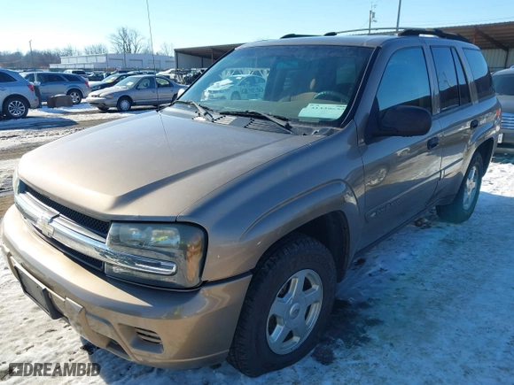2002 Chevrolet TrailBlazer LS with VIN 1GNDT13S422356784, listed as a IAAI auction lot 41329655 with 122,525 mi miles. Bid and sale history available at carsss.com. Image 2.