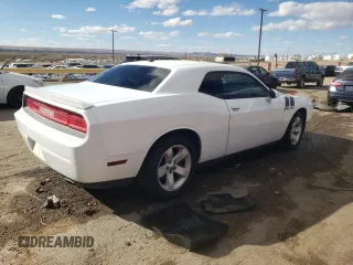 2013 Dodge Challenger R/T with VIN 2C3CDYBT3DH535790, listed as a Copart auction lot 48529355 with 250,497 mi miles and Salvage Title. Bid and sale history available at carsss.com. Image 3.