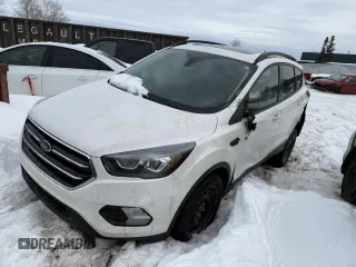 2018 Ford Escape Titanium with VIN 1FMCU9J91JUC96459, listed as a Copart auction lot 48194035 with 117,599 mi miles and Salvage title. Bid and sale history available at DreamBid. Image 1.