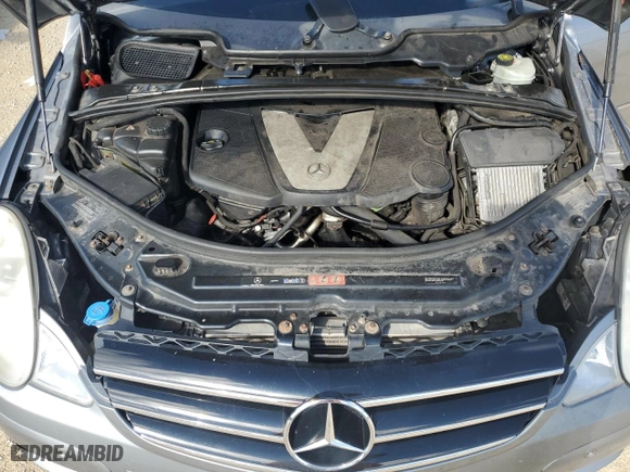 2010 Mercedes-Benz R-Class R 350 BlueTEC with VIN 4JGCB2FE6AA106188, listed as a Copart auction lot 74024274 with 0 mi miles and Salvage Title. Bid and sale history available at carsss.com. Image 12.